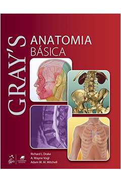 Grays Anatomia Básica - Richard L. Drake / A. Wayne Vogl