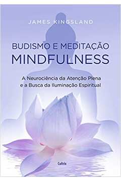 Budismo e Meditação Mindfulness / James Kingsland