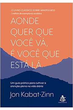 Aonde Quer Que Você Vá, é Você Que Está Lá - Jon Kabat-zinn