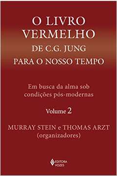 O Livro Vermelho de C. G. Jung para o Nosso Tempo: Volume 2 ( Novo ) - Murray Stein / Thomas Arzt